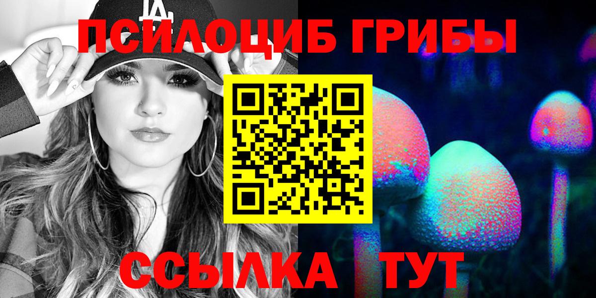 Зерноград  Псилоцибиновые грибы Psilocybe  Вход с VPN 